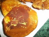 Gymnopilus luteus image