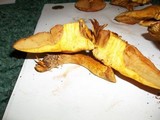Gymnopilus luteus image