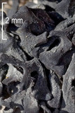 Thyrea confusa image