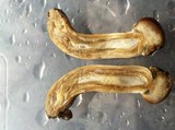 Psilocybe pseudoaztecorum image