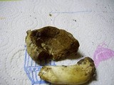 Cortinarius pinguis image