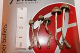 Psilocybe baeocystis image