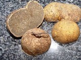 Rhizopogon luteolus image