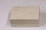 Gymnopilus cyanopalmicola image