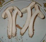 Amanita dulciarii image