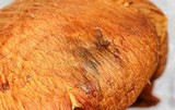 Gymnopilus viridans image