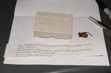 Psilocybe australiana image