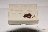 Psilocybe australiana image
