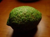 Alternaria alternata image