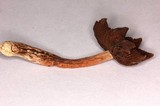 Psilocybe caerulescens var. nigripes image
