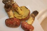 Boletus miniatopallescens image