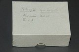 Psilocybe semilanceata image