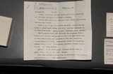 Psilocybe subaeruginascens image