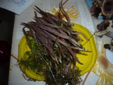 Alloclavaria purpurea image