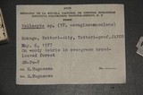 Psilocybe subaeruginascens image