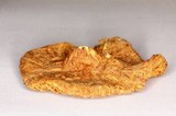 Squamanita umbonata image