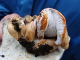 Hypomyces deformans image