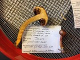 Chroogomphus vinicolor image