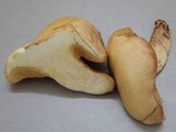 Suillus kaibabensis image