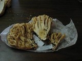 Ramaria rasilispora var. scatesiana image