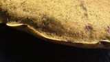 Phlebopus sudanicus image