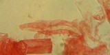 Mycena silvae-nigrae image