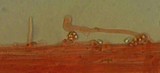 Mycena pallida image