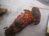 Boletus permagnificus image