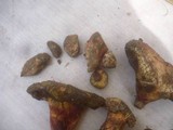 Boletus roseoalbidus image