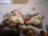 Boletus roseoalbidus image