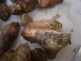Boletus roseoalbidus image