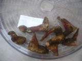 Boletus roseoalbidus image