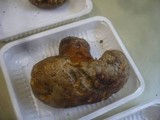 Boletus rhodopurpureus image