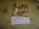 Clitocybe diosma image
