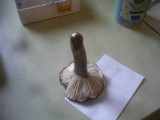 Hygrophorus atramentosus image