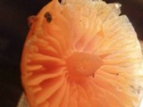 Hygrocybe psittacina var. perplexa image