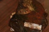 Boletus haematinus image