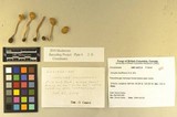 Inocybe kauffmanii image