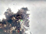 Fuscoporia ferruginosa image