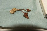 Psilocybe subaeruginascens image