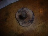 Lactarius luridus image