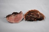 Fomitopsis cajanderi image