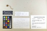 Inocybe cincinnata image