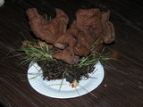 Gyromitra infula image