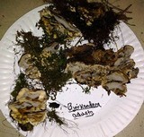 Bjerkandera adusta image