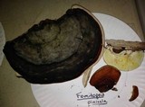 Fomitopsis mounceae image