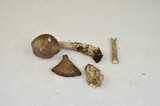 Amanita constricta image