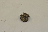 Arrhenia epichysium image