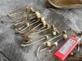 Psilocybe semilanceata image