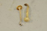 Cuphophyllus virgineus image